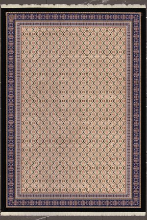 persian carpet code D6389
